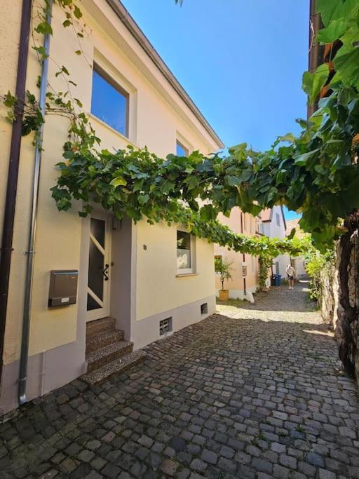 Casa Ciconia - Ueber Den Daechern Der Altstadt Фрайнсхайм Екстериор снимка