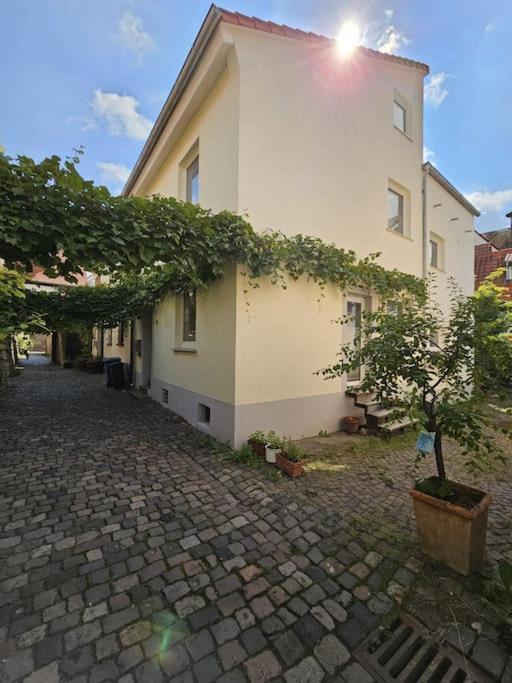 Casa Ciconia - Ueber Den Daechern Der Altstadt Фрайнсхайм Екстериор снимка